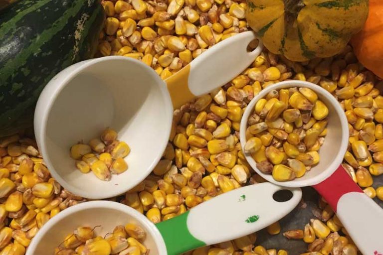 Dried corn kernals, scoopers and containers in a pile.